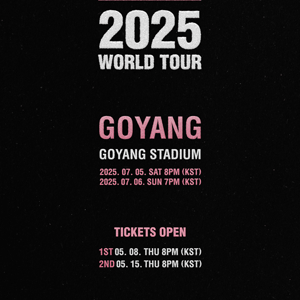 BLACKPINK 블랙핑크 고양콘서트 2연석