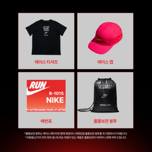 나이키 에프터 다크 투어 양도구합니다