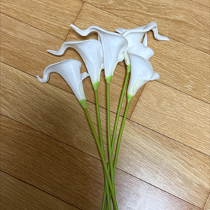 애플워치 se2 40mm 미드나이트 삽니다