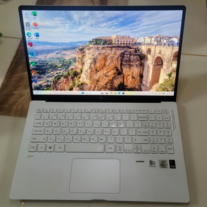 최상급)LG그램 노트북 15Z90N, i7 10세대