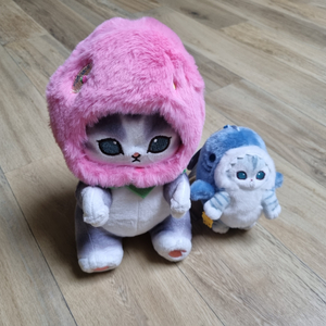 택체 새상품) 모후산도 인형, 인형키링 2종 일괄