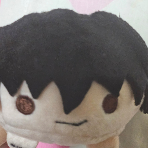 사카모토 데이즈 나구모 쯔무 판매