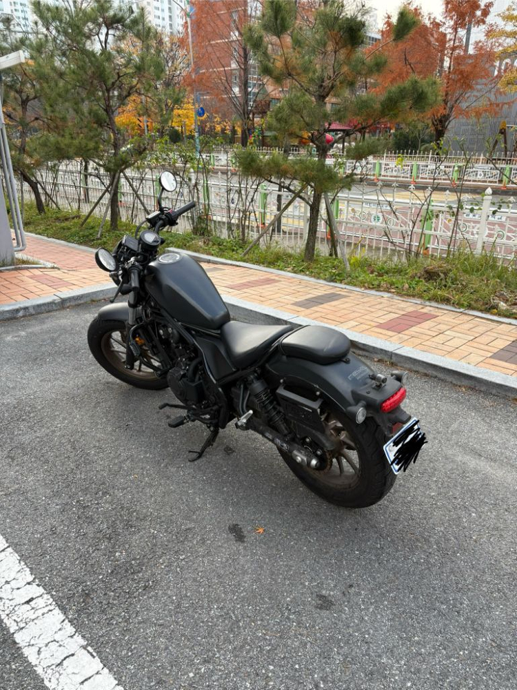 혼다 레블 500 이미지