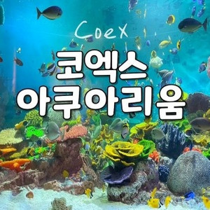 코엑스 아쿠아리움 모바일티켓 판매
