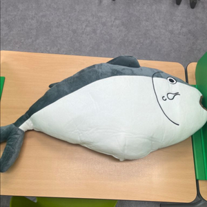 생선모양 모자 코스튬 팝니다