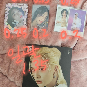 스트레이키즈 스테이키트 포카 인형 양도합니다