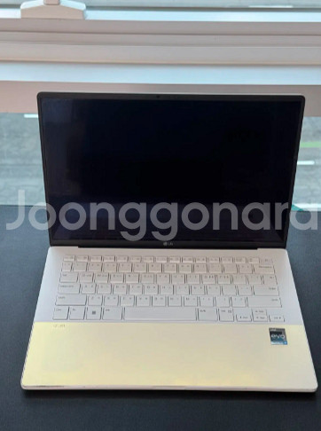 [가성비 노트북 중고] LG 그램 14인치 스타일 14--2