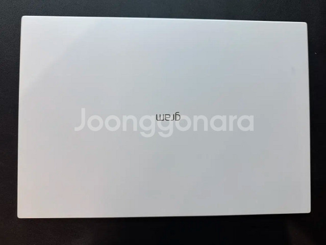 LG 그램 16인치 16Z90P-GA56K--2