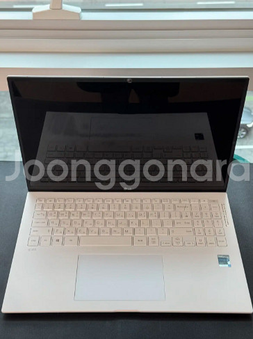 LG 그램 16인치 16Z90P-GA56K--3