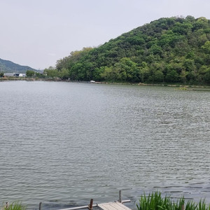 금통시계 삽니다