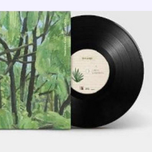 잔나비 소곡집2 lp 와 검정치마 lp 교환 원합니다