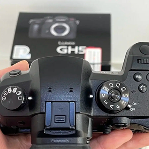 파나소닉 루믹스 DC-GH5 II