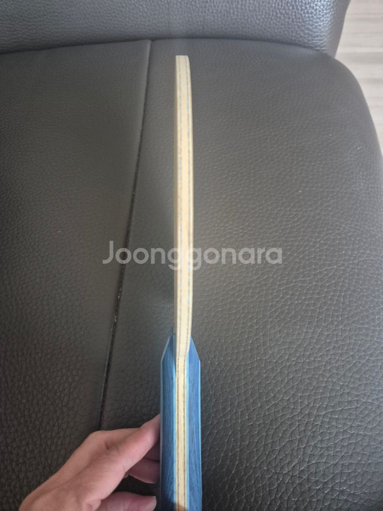 탁구채--1