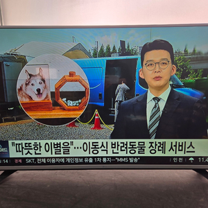 LG 49인치 LED TV