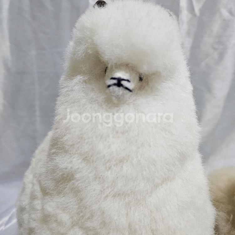 페루 컴발리 알파카 인형 대, 소 판매--1