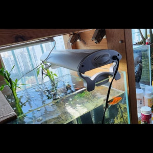 수조 조명등 (어항등)