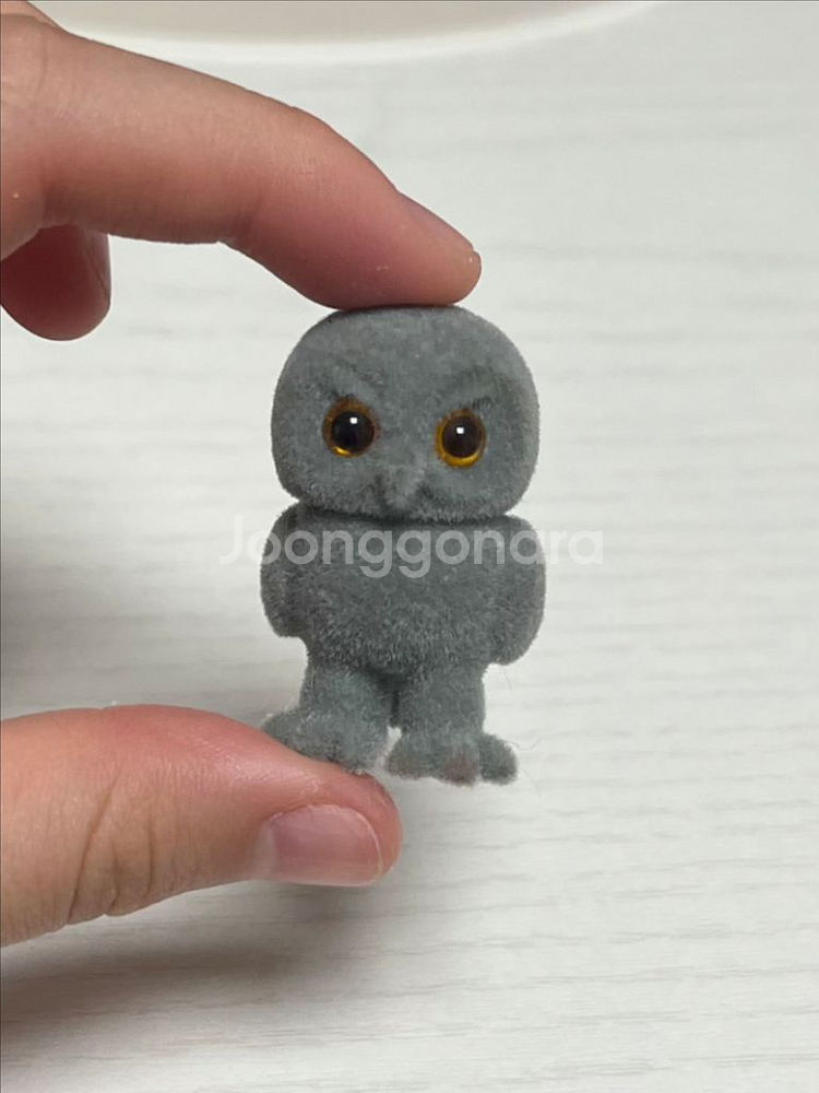실바니안 올드 올빼미 부엉이 직립 화난아이--0