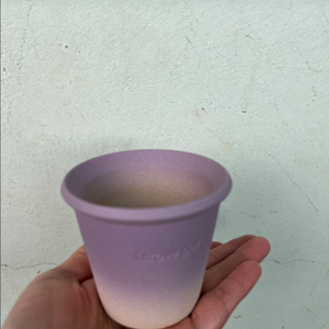 피쉬본선인장(블리스볼,그로브팟)수제토분기티화분