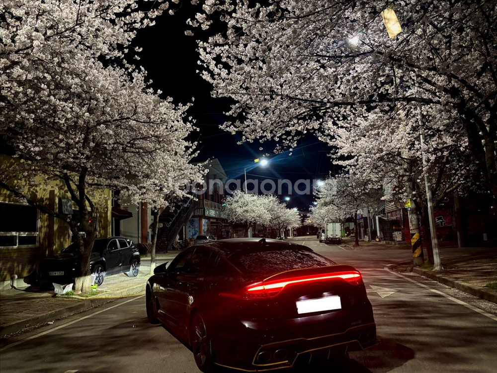 스팅어 마이스터 데루등팝니다--0