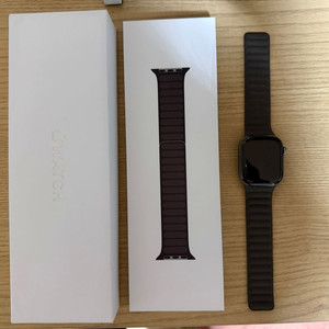 애플워치10 네추럴 티타늄 42mm