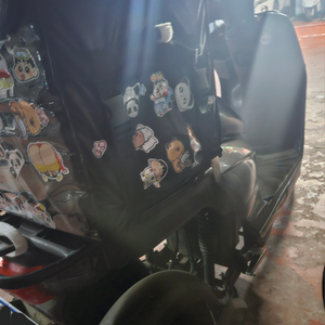 DUO 전기스쿠터