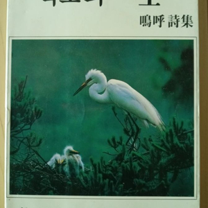 박명호 시집 - 백조의 일생