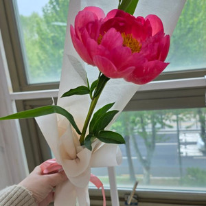 작약 꽃한송이