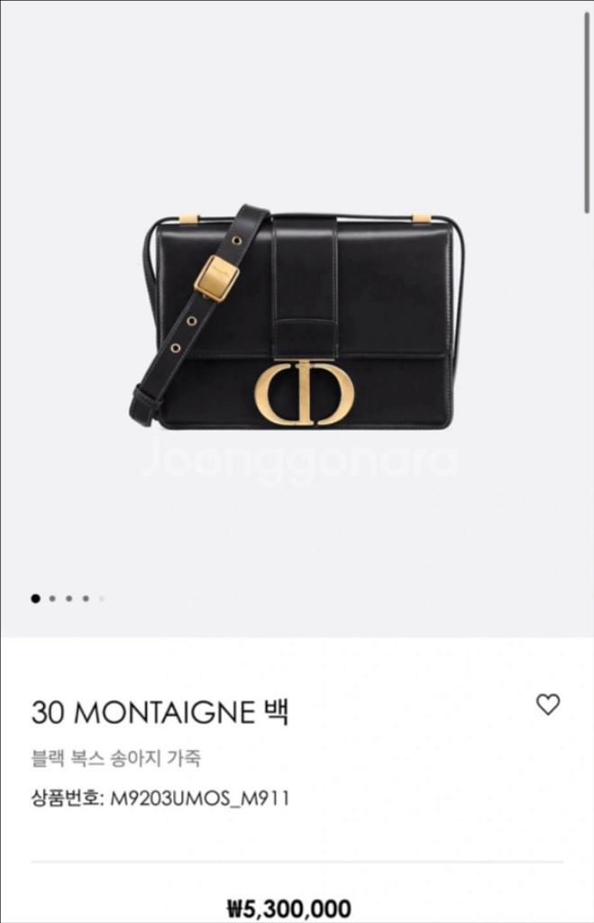 디올 몽테인 30 미디움백--0