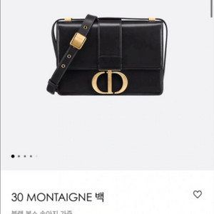 디올 몽테인 30 미디움백