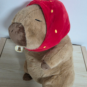 (새제품) 딸기 모자 카피바라 33cm 대형인형
