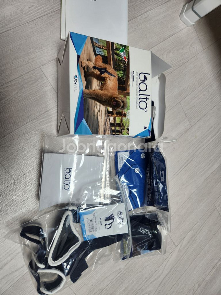 Balto 강아지 슬개골 보호대 xxs--0