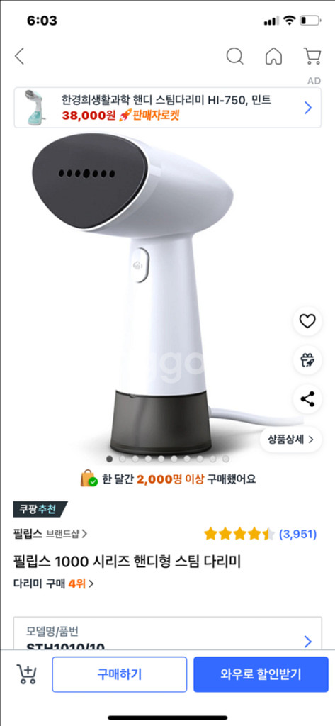 필립스 스팀다리미 1000--4