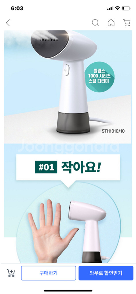 필립스 스팀다리미 1000--5