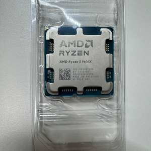 AMD RYZEN 9600X