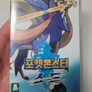 닌텐도 스위치 포켓몬스터 소드