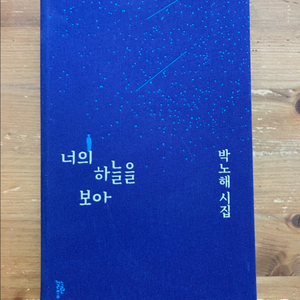 너의 하늘을 보아 : 박노해 시집
