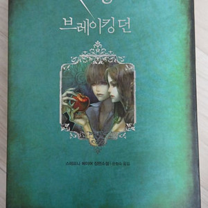 브레이킹던
