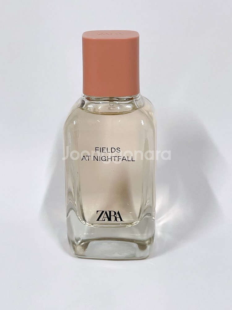 자라향수 필드앳 나이트폴 100ml--0