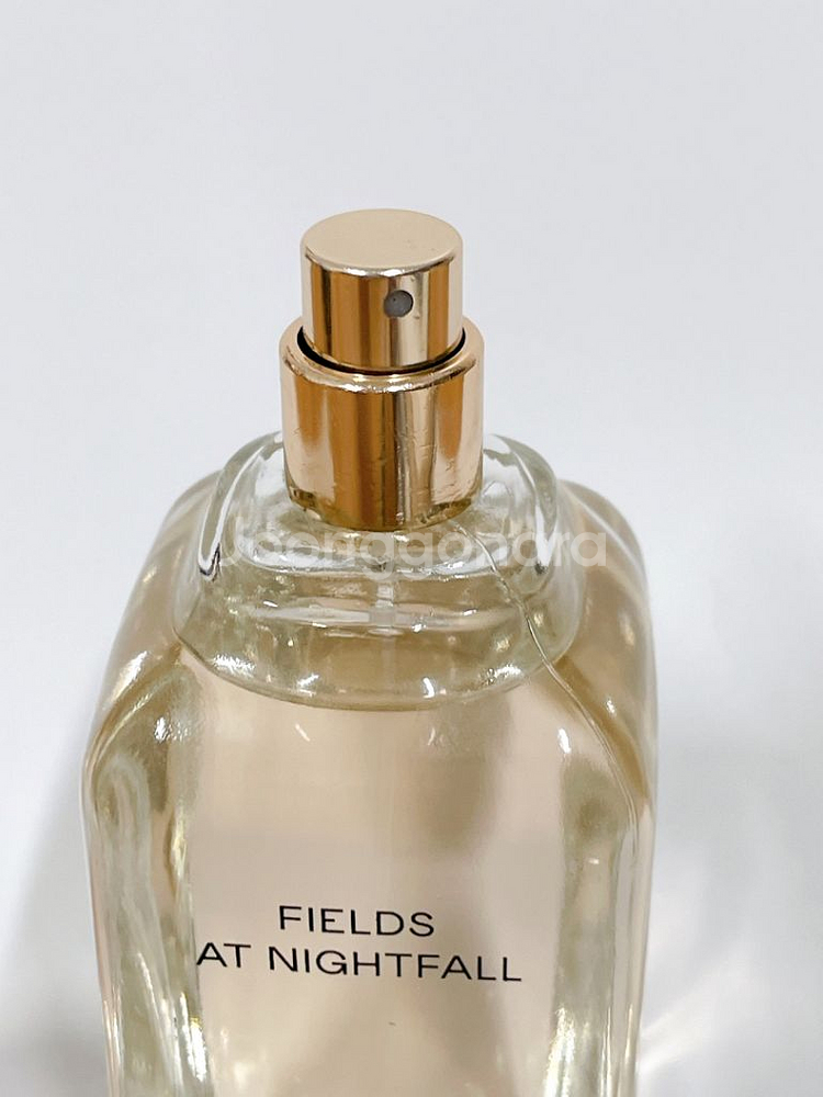 자라향수 필드앳 나이트폴 100ml--3