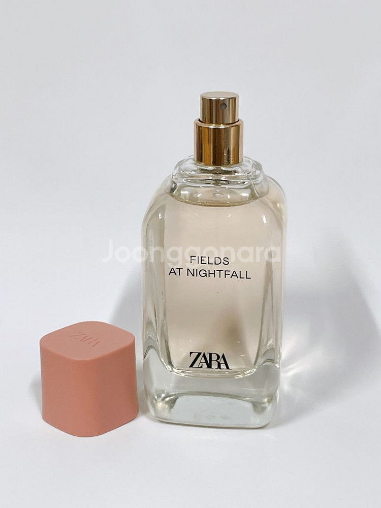 자라향수 필드앳 나이트폴 100ml--4