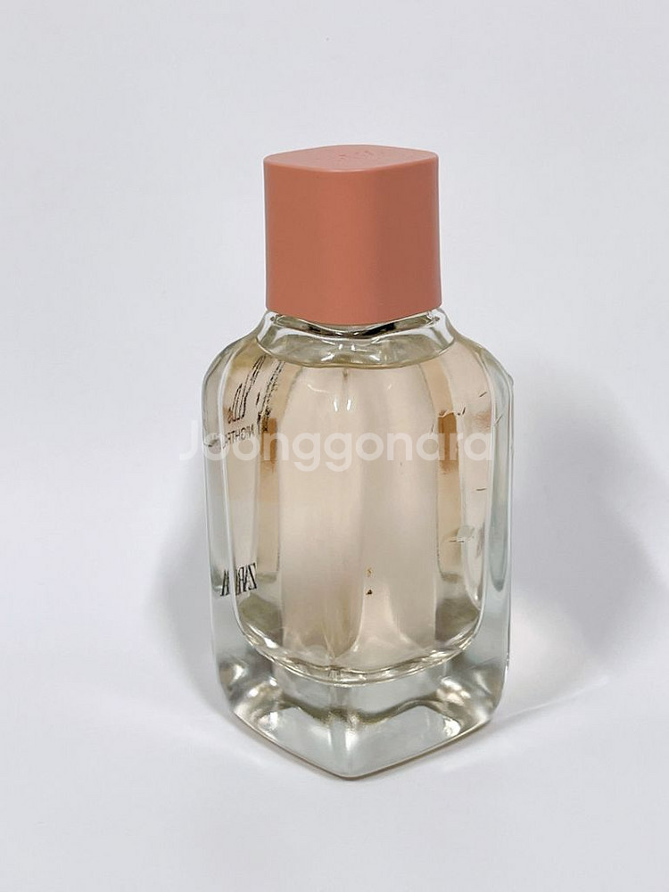 자라향수 필드앳 나이트폴 100ml--2