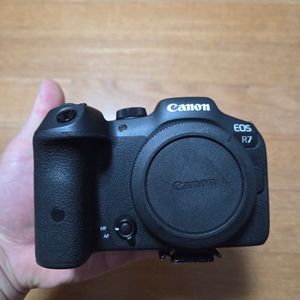 캐논 R7, EOS R7 판매합니다.