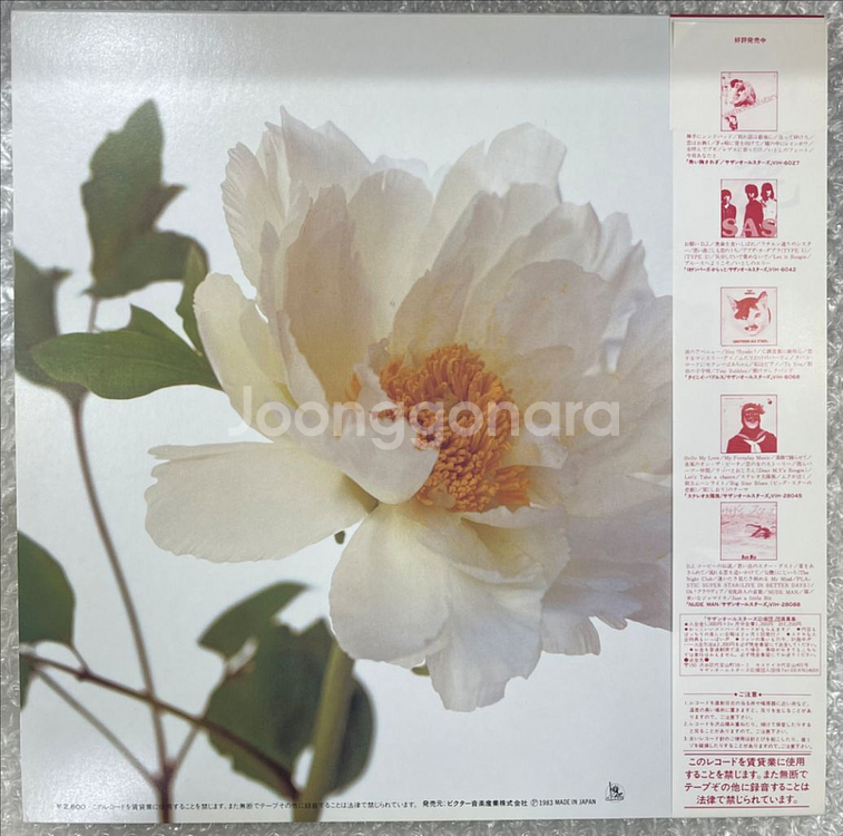 Southern All Stars / Kirei 엘피--1