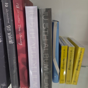 아이유 굿즈