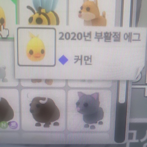 입양하세요 2020년 부활절에그