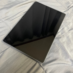 갤럭시탭 S9 FE+ 256GB