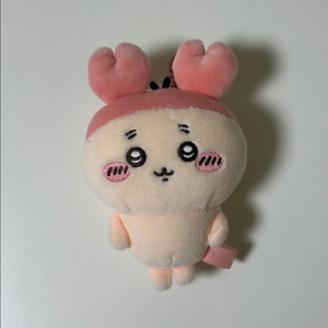 먼작귀 치이카와 카니