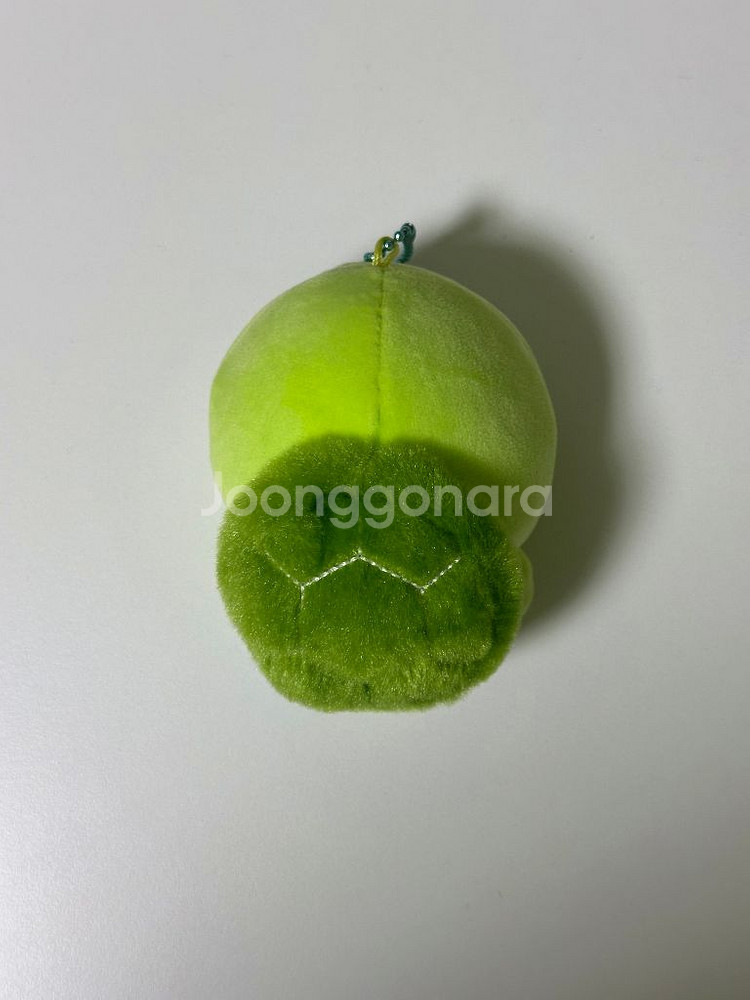 먼작귀 치이카와 수족관 마스코트 하치와레 거북이--1