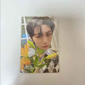 보넥도 보이넥스트도어 태산 how 앨포 양도