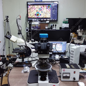 라이카 3안CCD 편광현미경 싸게판매합니다